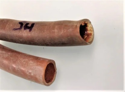 Cut-open shower pipes reveal a biofilm with metal deposits.  