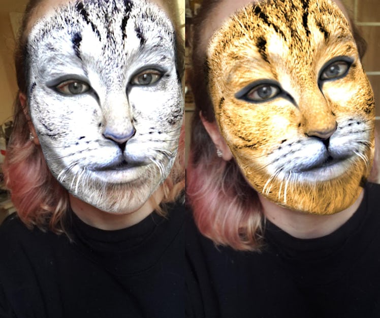 These best animal face filters on Instagram include cat face filters.