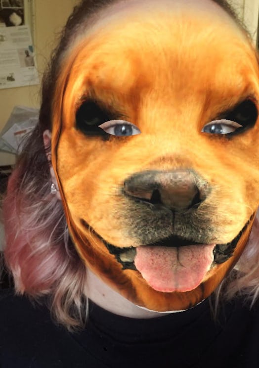 These are the best animal face filters on Instagram for a fun change of look.