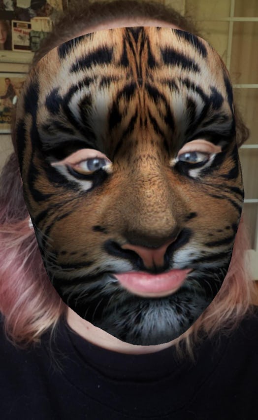These best animal face filters on Instagram include a tiger face.
