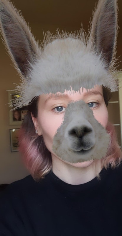 These best animal face filters on Instagram include an adorable llama.