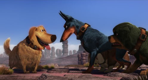 All the dog movies and shows you need to stream on Disney+