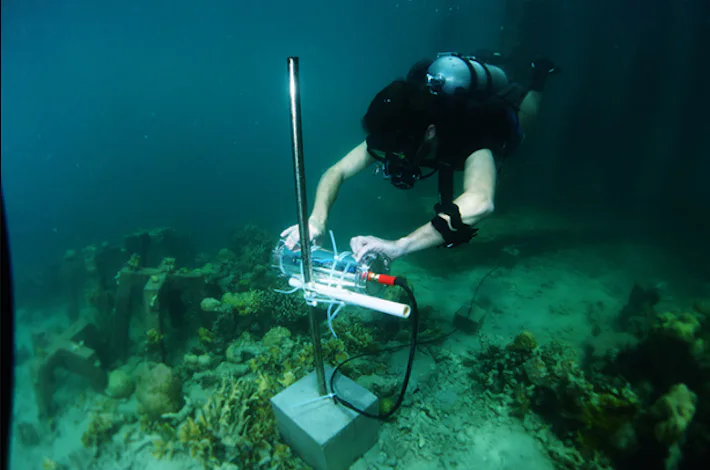 Intel is using AI to try and save coral reefs