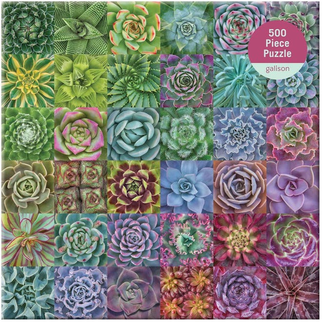 Galison Succulent Spectrum Puzzle (500 Pieces)