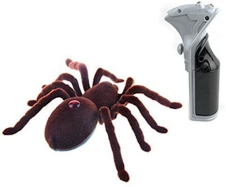 Calover Remote Control Spider