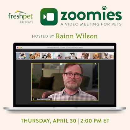 You can join Rainn Wilson on an all-pet Zoom meeting.