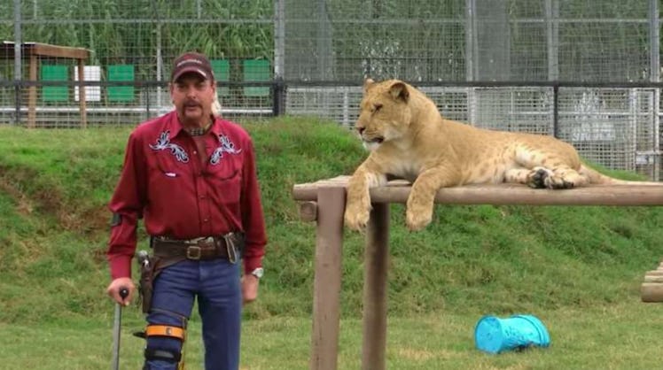 "Tiger King" on Netflix is full of twists, turns, and wild facts starring Joe Exotic