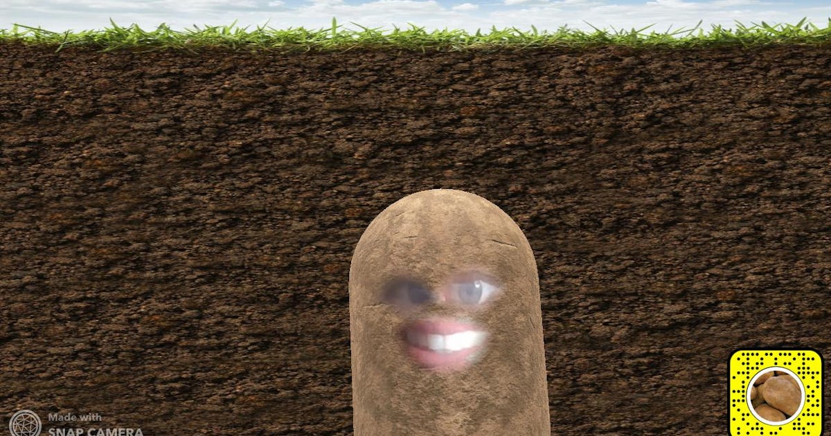 The 14 Best Snapchat Lenses On Zoom To Make Video Calls So Much Fun The 14 Best Snapchat Lenses On Zoom To Make Video Calls So Much Fun