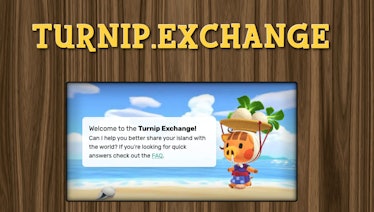 "Turnip.Exchange" section in "Animal Crossing: New Horizons"