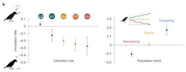 chart showing differences in birds' rate of innovation compared with extinction risk