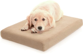 Milliard Premium Orthopedic Memory Foam Dog Bed