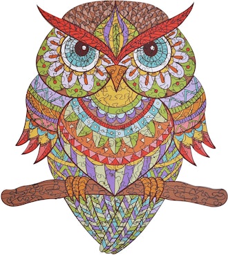 Hartmaze Colorful Owl Wooden Jigsaw Puzzle