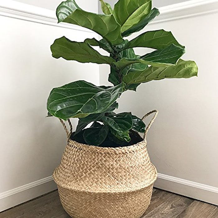 Natural Craft Seagrass Belly Basket 