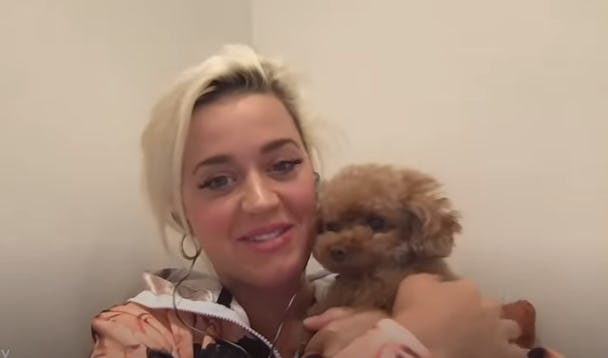 Katy Perry is proud of her daughter's attitude in vitro.