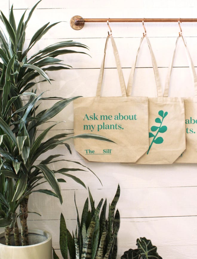 Plant Parent Club Membership