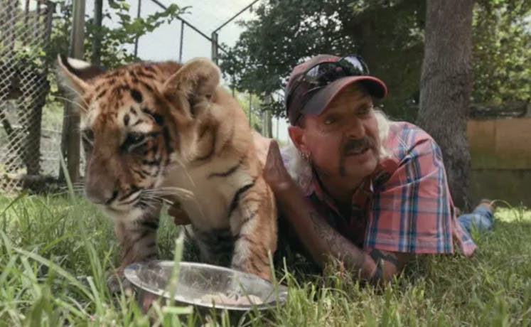 Celebrities react to Netflix's 'Tiger King'