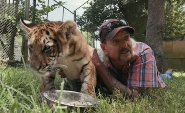 Celebrities react to Netflix's 'Tiger King'