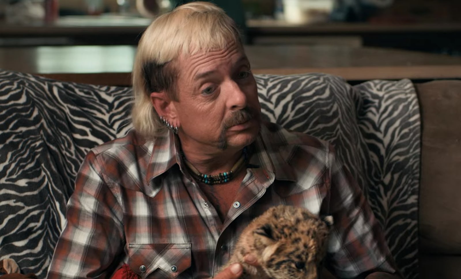 'Tiger King' fans are wondering if a Season 2 will happen after finishing the series.