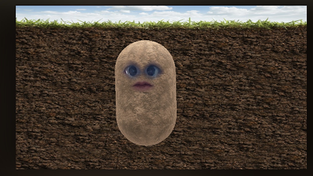 Here S How To Get The Potato Filter On Zoom To Animate Your Next Call