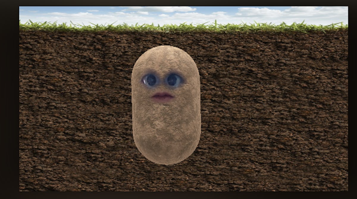 Here S How To Get The Potato Filter On Zoom To Animate Your Next Call Here S How To Get The Potato Filter On Zoom To Animate Your Next Call