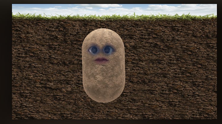 It's so easy to get the potato filter on Zoom through this Snapchat feature.