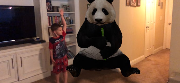 Having a panda in your living room is totally possible thanks to Google's AR animals.