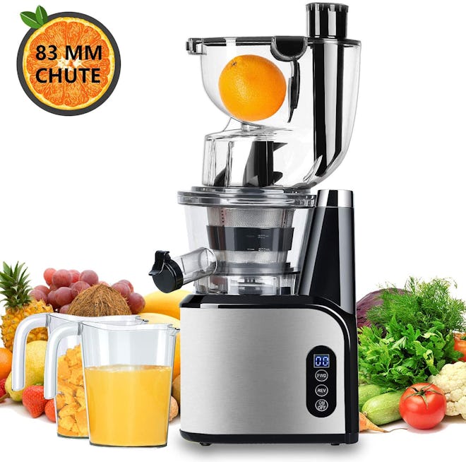 Aobosi Slow Masticating Juicer