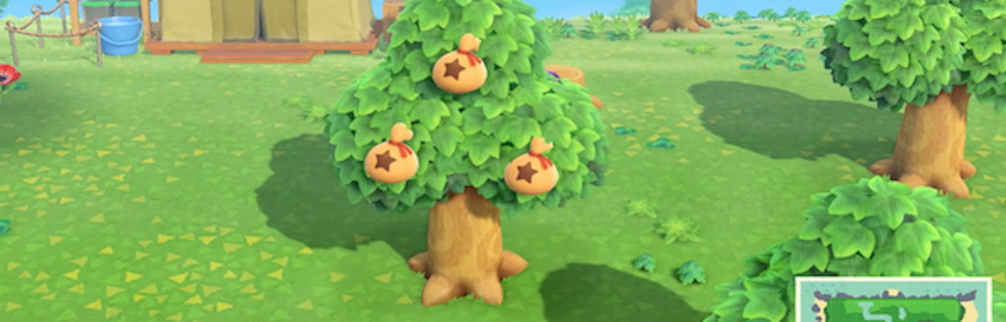 Animal Crossing New Horizons Money Tree Guide Make 30 000 Bells Or More Animal Crossing New Horizons Money Tree Guide Make 30 000 Bells Or More