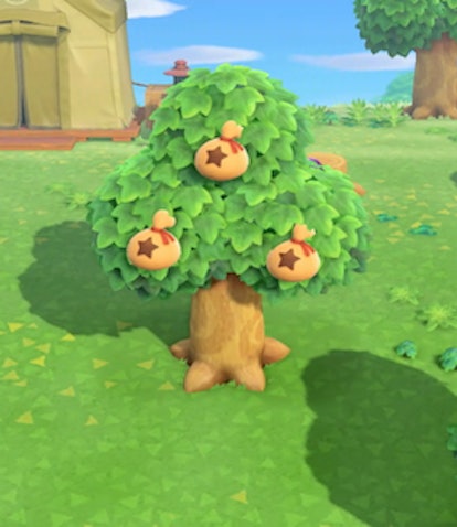 'Animal Crossing: New Horizons' Money Tree guide: Make 30,000 Bells or more