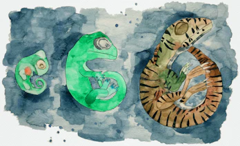 Watercolor painting of the Massospondylus carinatus dinosaur embryos at 17% through the incubation period, 60% through the incubation period and 100% through the incubation period.