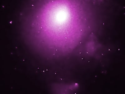 hypothesis of expansion hypothesis of expansion