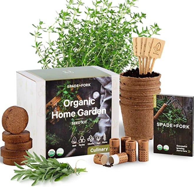 Spade To Fork Indoor Herb Garden Starter Kit