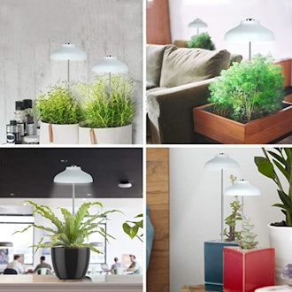 GrowLED LED Umbrella Plant Grow Light