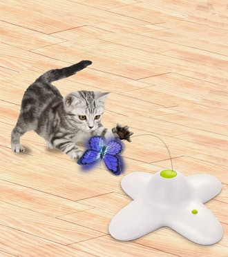 All For Paws Interactive Cat Butterfly Toy