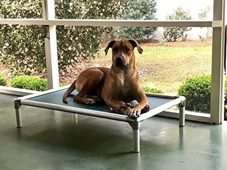 Kuranda All Aluminum Dog Bed