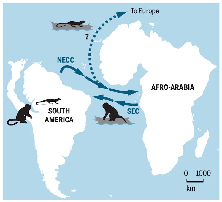 map showing monkeys traveling across Atlantic Ocean