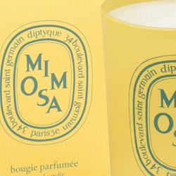 Mimosa candle from diptyque's Coloring Spring collection.