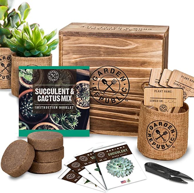 Garden Republic ·Succulent Seed Starter Kit
