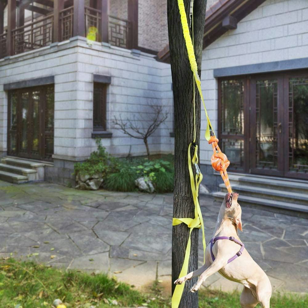 The 7 Best Outdoor Dog Toys To Keep Them Busy