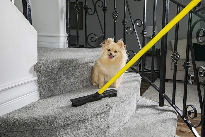 Evriholder FURemover Pet Hair Removal Broom