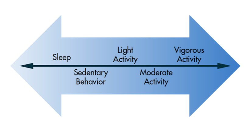 The activity spectrum spans from ‘sleep’ to ‘vigorous activity.’ Renee J. Rogers, Author provided