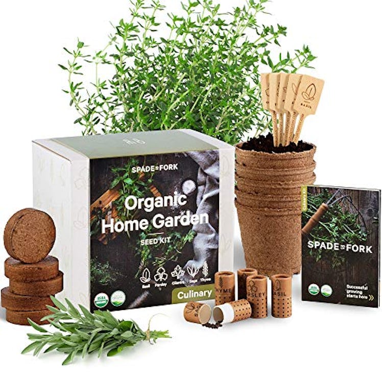 Spade To Fork Indoor Herb Garden Starter Kit