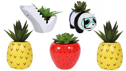 Target's line of fake succulents includes artificial plants in cute pots shaped like fruit and anima...