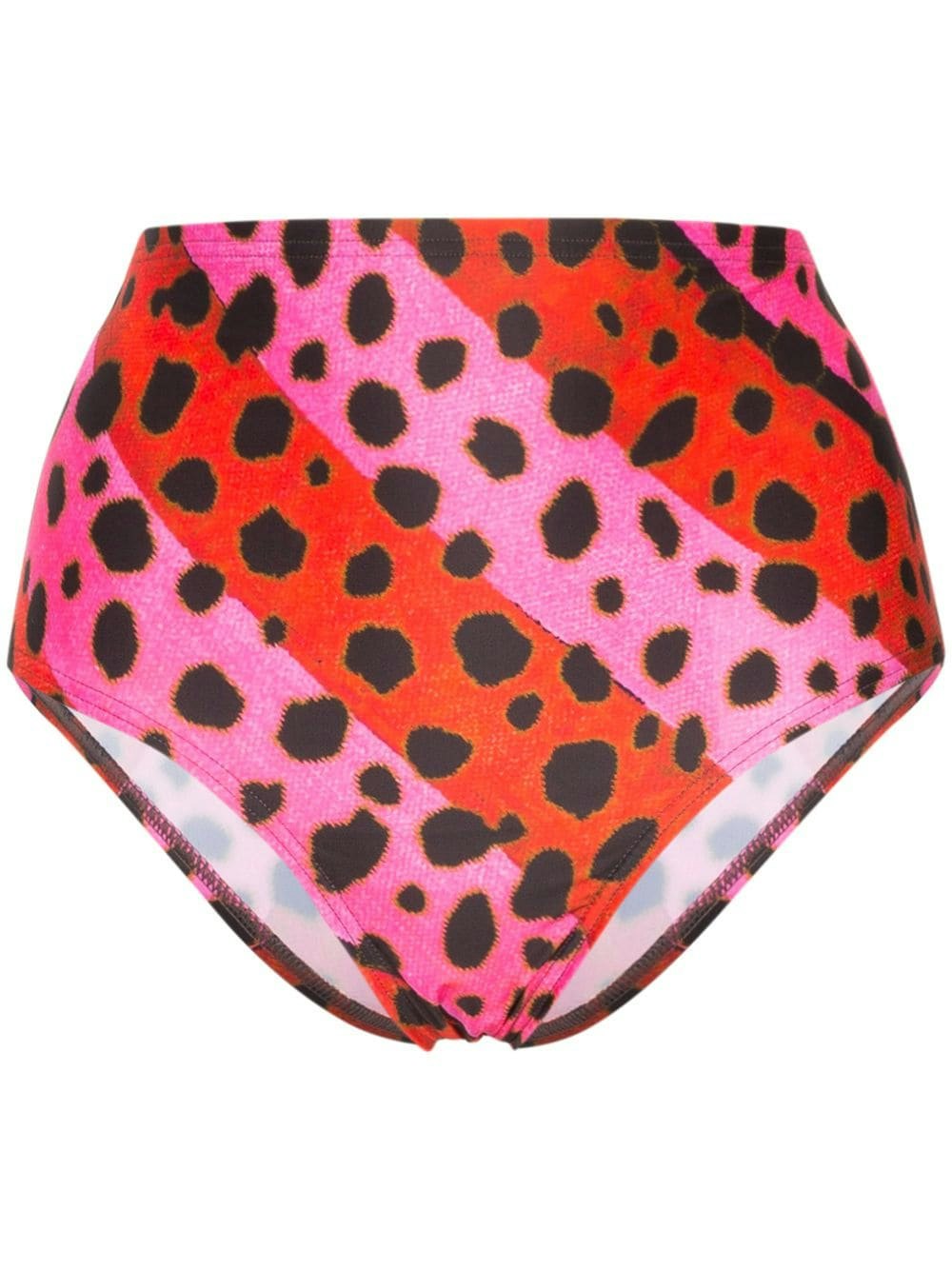 Leopard Print Striped Bikini Bottoms