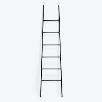 Storage Ladder
