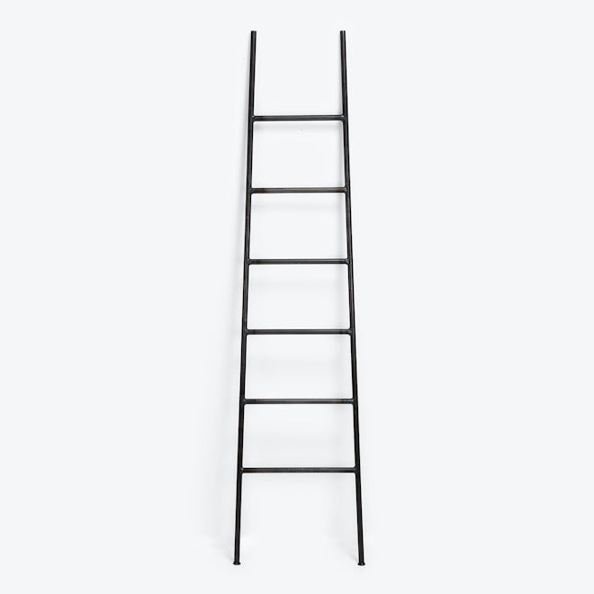 Storage Ladder