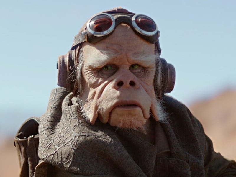 Kuiil from The Mandalorian