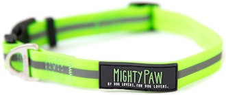 Mighty Paw Waterproof Dog Collar 
