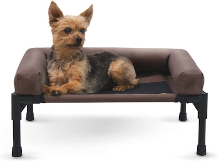 https://imgix.bustle.com/uploads/image/2020/5/19/b82e7ca5-e720-4923-aed2-faa467504c25-best-elevated-bed-for-small-dogs.jpg?w=450&fit=crop&crop=faces&auto=format%2Ccompress&cs=srgb&q=70 https://imgix.bustle.com/uploads/image/2020/5/19/b82e7ca5-e720-4923-aed2-faa467504c25-best-elevated-bed-for-small-dogs.jpg?w=450&fit=crop&crop=faces&auto=format%2Ccompress&cs=srgb&q=70