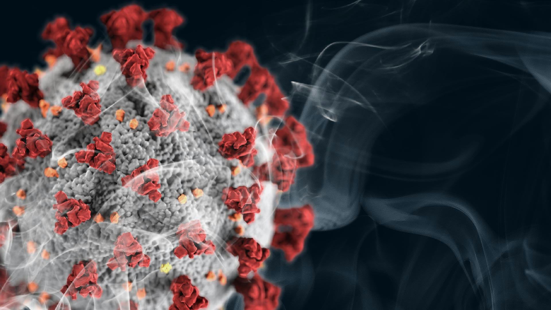 Covid19 and smoking Cigarettes give the virus a path to the lungs
